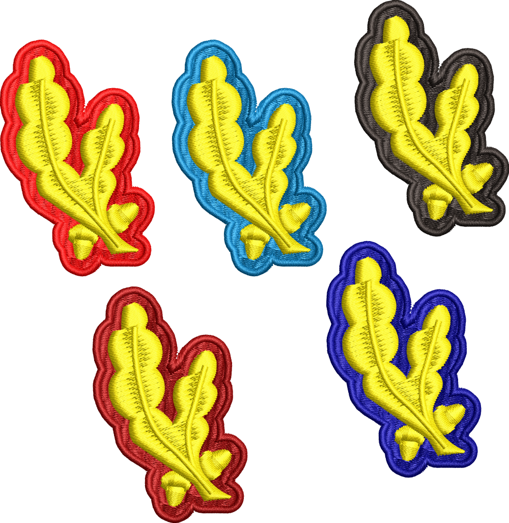 Petlite costum oras MAISTRI si SUBOFITERI - Ministerul Apararii Nationale